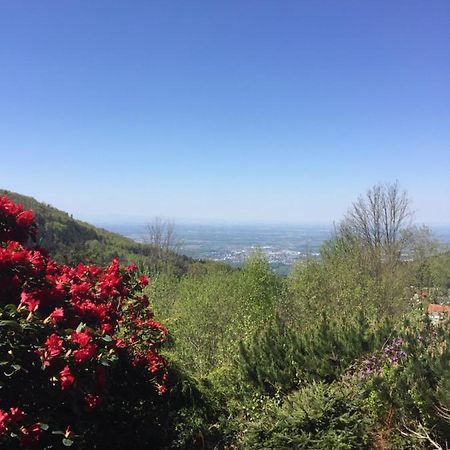 On The Hill Διαμέρισμα Sasbachwalden Εξωτερικό φωτογραφία