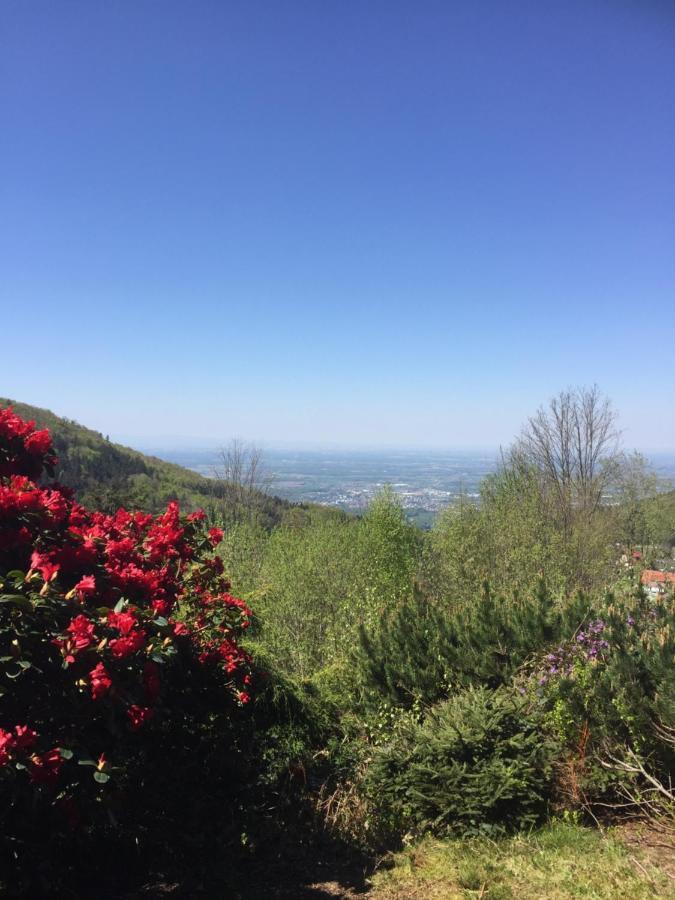 On The Hill Διαμέρισμα Sasbachwalden Εξωτερικό φωτογραφία